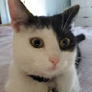 Meet your Posher, Alexandra